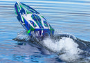 Traxxas Spartan SR 36" Race Boat with Self-Righting 103076-4 Free shipping across Canada 🇨🇦