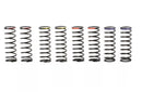 Element RC Enduro SE Shock Springs (Hard) 42347