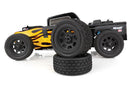 Team Associated Pro2 RT10SW RTR