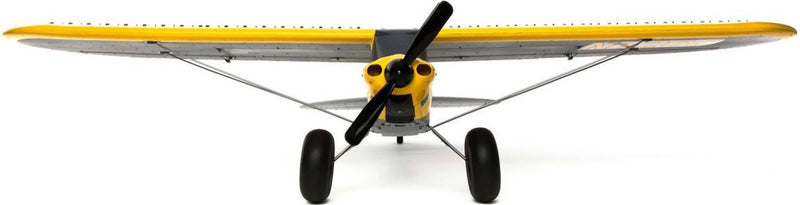 Hobby Zone Carbon Cub S2 1.3m RTF Basic (No Batt/Charger)