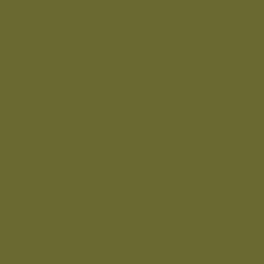 Mission Models Olive Drab Faded 1 1oz (30ml) (1) MMP-020