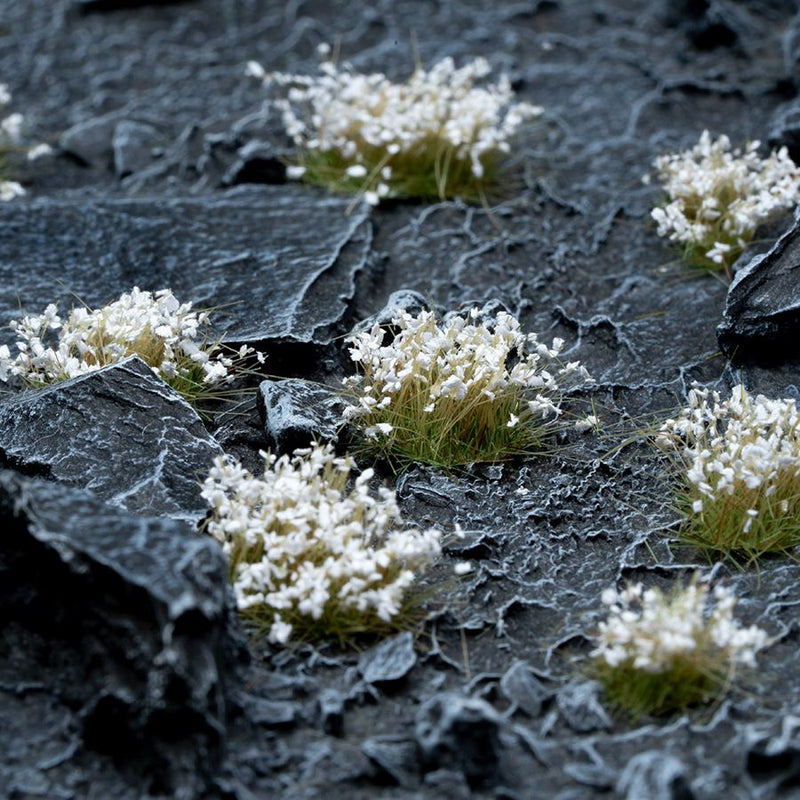 White Flowers