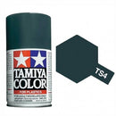 TAMIYA ts-4 MATT GERMAN GREY...
