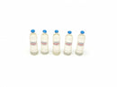 Scale Accessories - Evian Mineral Water (5/Set Transparent)