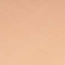 Mission Models Transparent medium 1oz (30ml) (1)